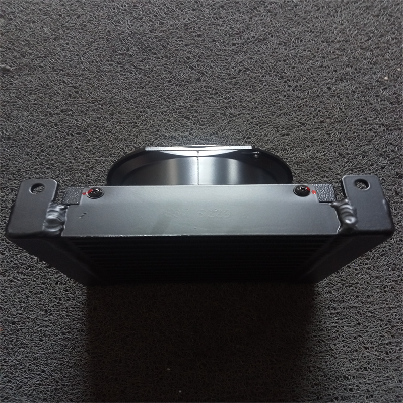 臺(tái)灣COOLBIT風(fēng)冷卻器AW407-A2 (5)